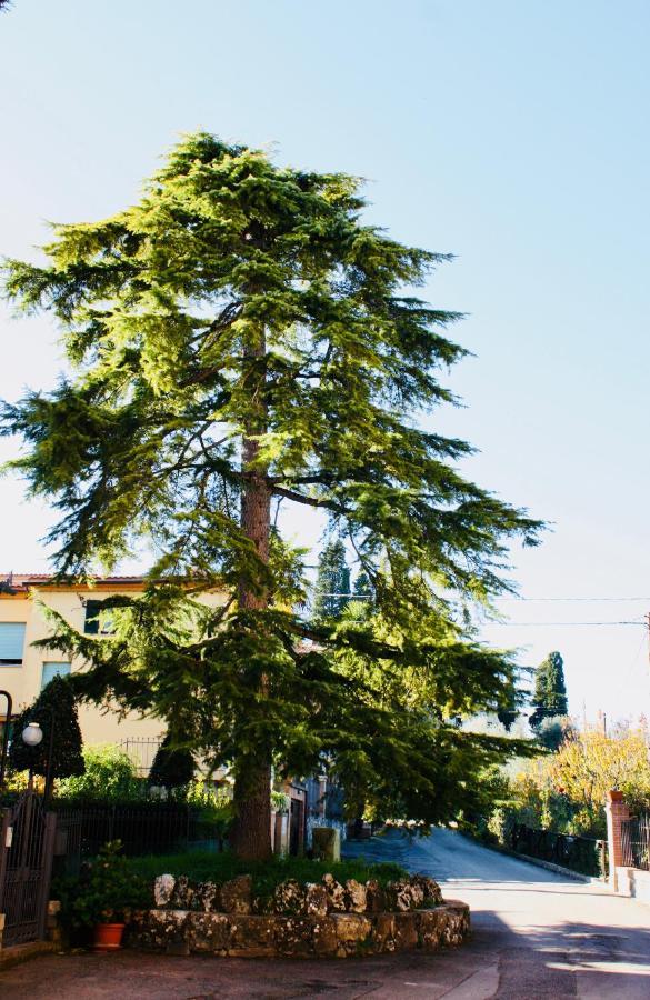La Torre Di Caprera Daire Siena Dış mekan fotoğraf